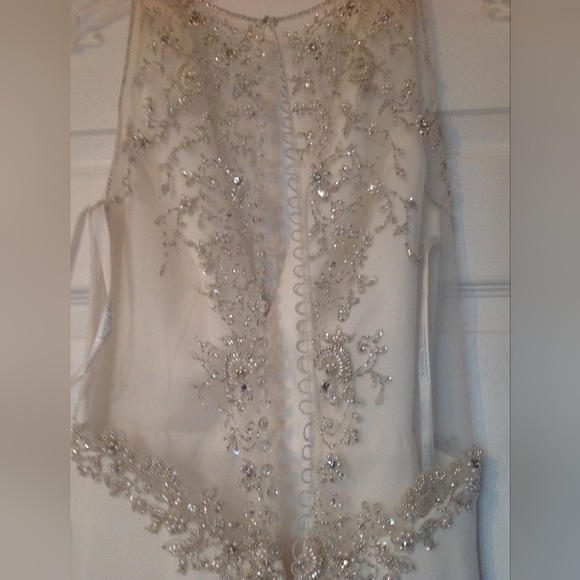 Wedding Dress and veil - Picture 3 of 11